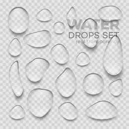realistic transparent water drops. vector illustration eps10