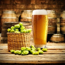 cold beer and hops decoration 