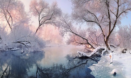 winter landscape in pink tones,with calm winter river, surrounded by trees.winter forest on the river at sunset. belarus landscape with snowy trees, beautiful frozen river with reflection in water.  