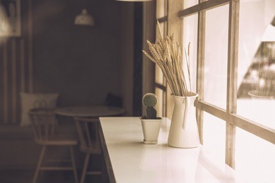 japan style cafe counter bar side glass window interior nature decoration with dried plant and cactus warm tone.