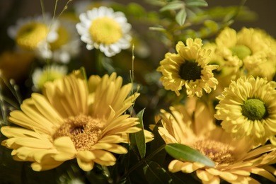 yellow flowers