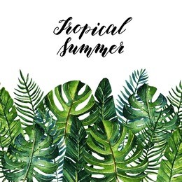 tropical summer, watercolor illustration. different leaves. background white. postcard for you, set, handmade