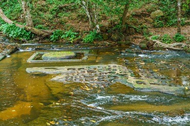 the river of 1,000 shiva linga, phnom kulen, cambodia.