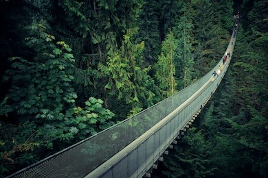 capilano suspension bridge in vancouver, canada.