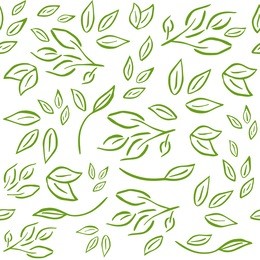 seamless and fresh pattern with branches,leaves for organic labels, healthy food packaging, natural cosmetics, shop, fabric, vegan products. green vector background.