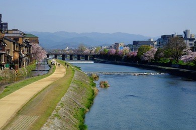 kyoto kamo river -kamogawa- river side view, kyoto, japan.