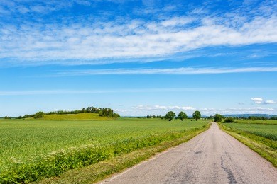country road at a grain field