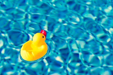 toy yellow rubber duck in the swimming pool close up