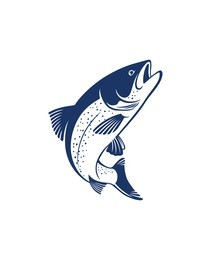 salmon fish