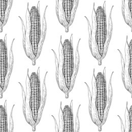 corn cob hand drawn seamless pattern. isolated vegetable engraved style wallpaper. detailed vegetarian food drawing. farm market product. great for menu, label, icon