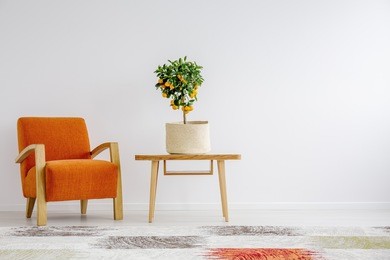 tropical accent in stylish, minimalist interior with retro furnitures