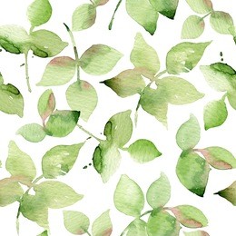 watercolor illustration of leaf, seamless pattern on white background. watercolor roses leafs. nature flowers and leaves watercolor seamless pattern background.