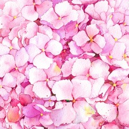 pink hydrangea flowers background. watercolor.