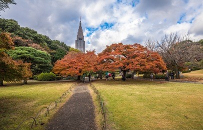 shinjuku gyoen park in autumn, tokyo, japan