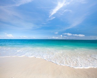 beach and tropical sea