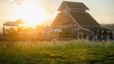 singha park (boon rawd farm), chiang rai, thailand : the park in the chiang rai countryside is a family-friendly attraction and makes for a pleasant way to spend a morning or afternoon.