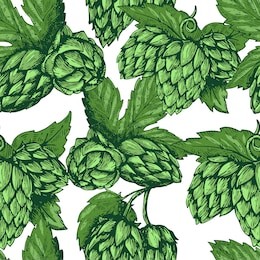 hop vector seamless pattern. hand drawn artistic beer green hops with leaves on white background. vintage wallpaper