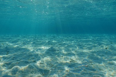 underwater shallow sandy ocean floor with sunlight through water surface, natural scene, lagoon of bora bora, pacific ocean, french polynesia