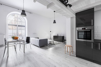 modern apartment in industrial style with kitchen and open living room