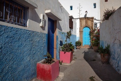 narrow street with potted plants and typical blue and white houses in old town. kasbah of udayas, rabat, morocco, north africa.