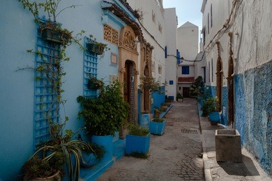 cozy narrow street with potted garden and typical blue and white houses in old town. kasbah of udayas, rabat, morocco, north africa.