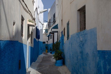 typical narrow street with blue and white houses in old town. kasbah of udayas, rabat, morocco, north africa.