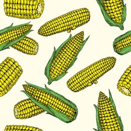 corn cob hand drawn vector seamless pattern. farm market product