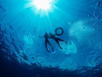 couple is snorkeling in the ocean. diving. underwater
