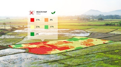 smart agriculture , farm , precision farming concept. nir images application screen used to create field health maps using the normalize difference vegetation percent index in field rice.
