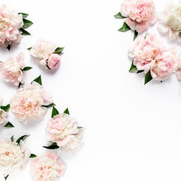 floral frame wreath made of pink and beige peonies flower buds, eucalyptus branches and leaves isolated on white wooden background. flat lay, top view. frame of flowers. 