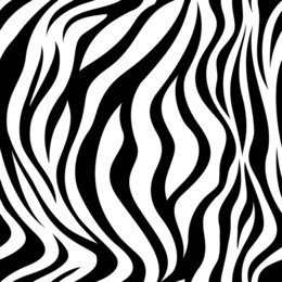 zebra black and white strips  seamless pattern. vector illustration isolated on white background. animal skin print texture.