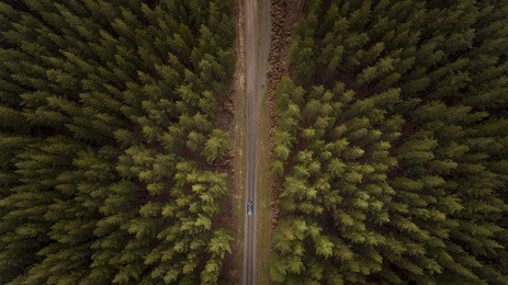 view from above of car driving down road between forest