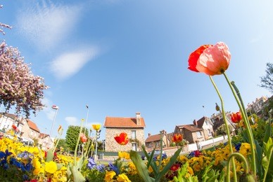 a beautiful flower garden in maincy town, melun, southeast paris taken at low angle using fisheye lens.