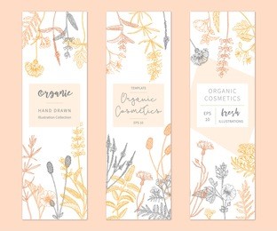 vector hand drawn floral cards and banners. elegant hand sketched flower drawing. vintage hipster herb templates and flyers. natural organic cosmetics packaging design.