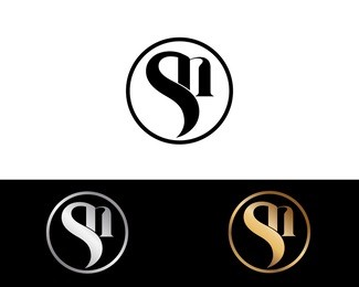 sn text gold black silver modern creative alphabet letter logo