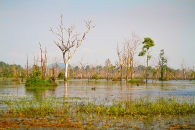 srah srang temple pond, angkor wat, siem reap, cambodia