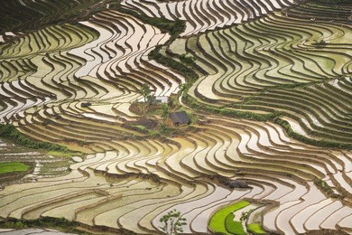 beautiful picture of terraced rice fields in a spilling water season in the northwestern part of lao cai province, vietnam