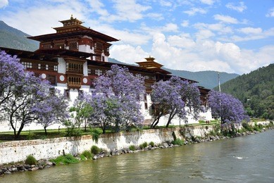 punakha dzong monastery, one of the largest monestary in asia, punakha, bhutan