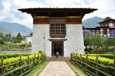 punakha dzong monastery, one of the largest monestary in asia, punakha, bhutan