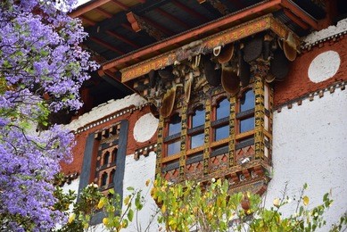 punakha dzong monastery, one of the largest monestary in asia, punakha, bhutan