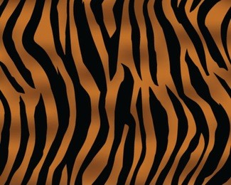 tiger pattern, print, stripes, skin, texture, design, decor, illustration, wallpaper, background, seamless, vector, isolated