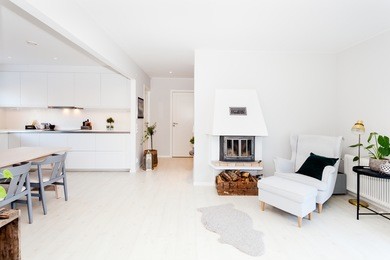 fancy home interior scandinavian style