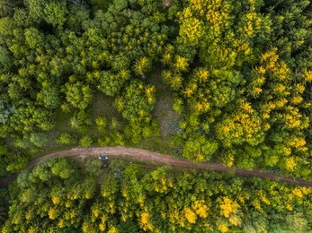 aerial view of the forest trees and road from the top view