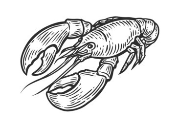 lobster, omar, cancer seafood nature ocean aquatic underwater vector. hand drawn marine engraving illustration on white background. sea animal