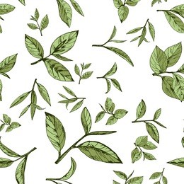 seamless pattern green tea, hand-drawn leaves and branches of tea