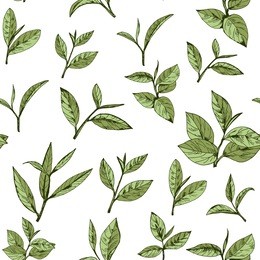 seamless pattern green tea, hand-drawn leaves and branches of tea