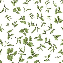 seamless pattern green tea, hand-drawn leaves and branches of tea