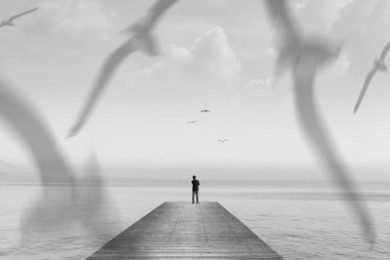 solitary man walking on a boardwalk among birds