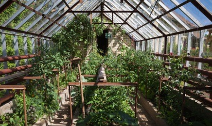 natural small garden greenhouse in a countryside.