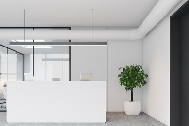 modern office hall with a white reception counter, two laptops standing on it and a tree in a pot in the corner. 3d rendering mock up